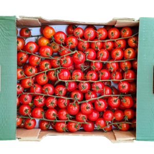 Fresh Tomatoes